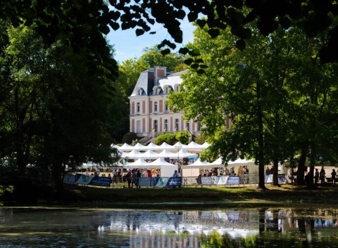 Agrandir l'image, fenêtre modale