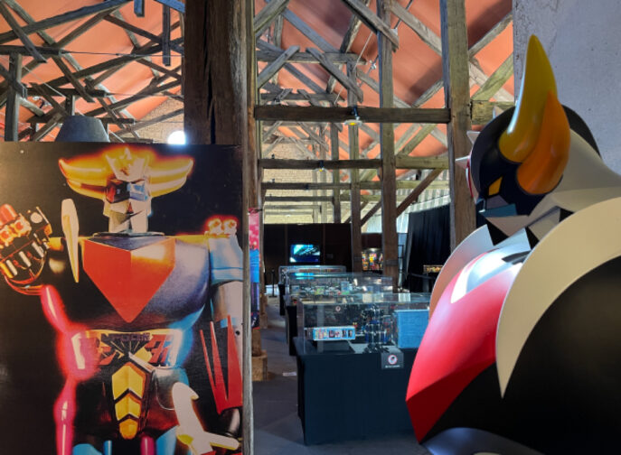 Agrandir l'image, fenêtre modale