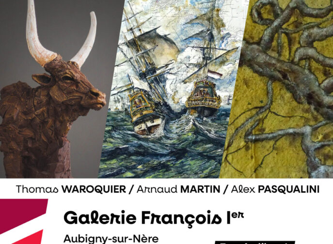 Agrandir l'image, fenêtre modale