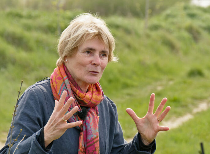 Agrandir l'image, fenêtre modale