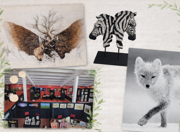 Agrandir l'image, fenêtre modale