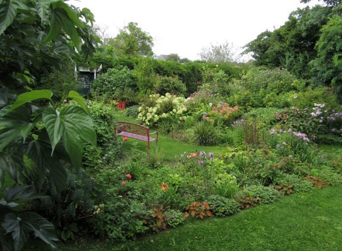 Agrandir l'image, fenêtre modale