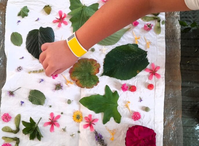 Agrandir l'image, fenêtre modale