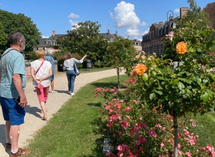 Agrandir l'image, fenêtre modale