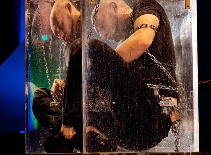 Agrandir l'image, fenêtre modale