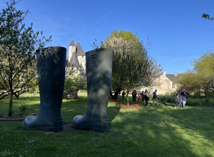 Agrandir l'image, fenêtre modale