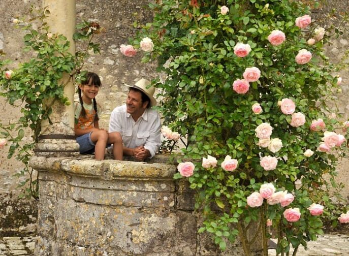 Agrandir l'image, fenêtre modale