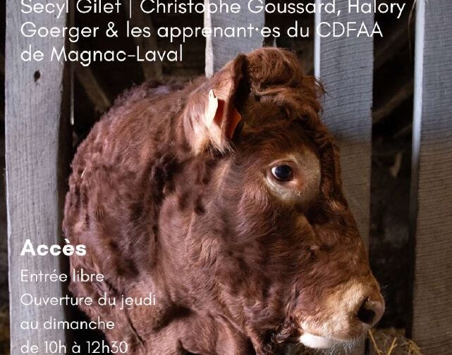 Agrandir l'image, fenêtre modale