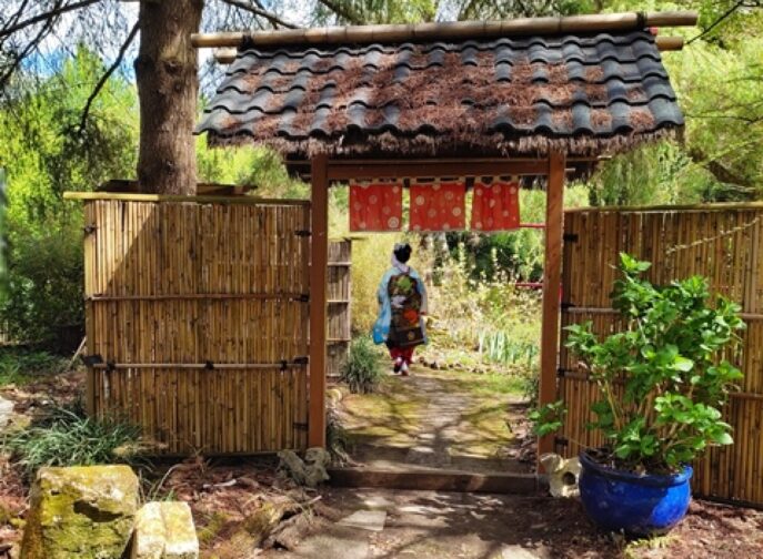 Agrandir l'image, fenêtre modale