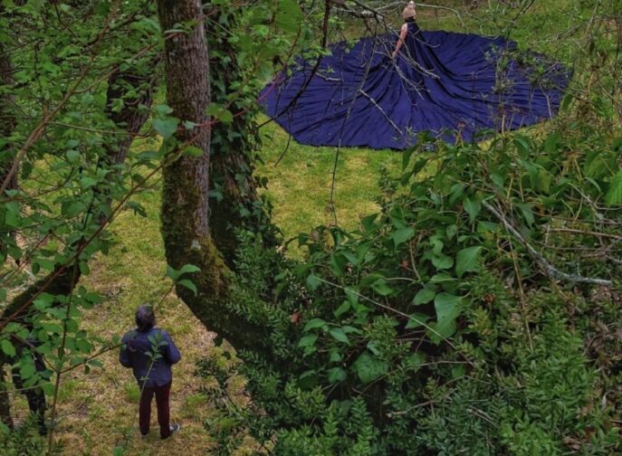 Agrandir l'image, fenêtre modale