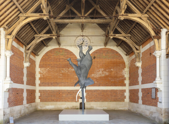 Agrandir l'image, fenêtre modale