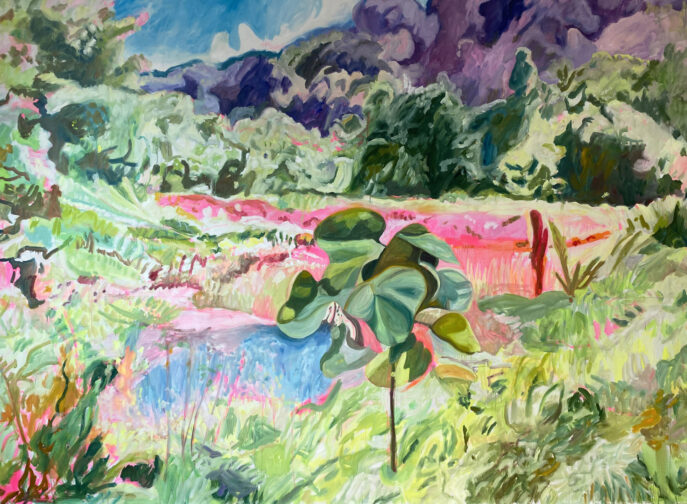 Agrandir l'image, fenêtre modale