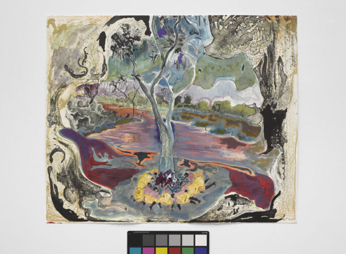 Agrandir l'image, fenêtre modale