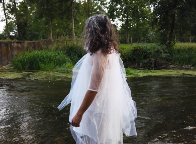 Agrandir l'image, fenêtre modale