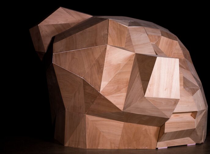 Agrandir l'image, fenêtre modale